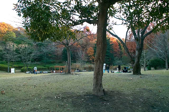 Ikuta Ryokuchi Park