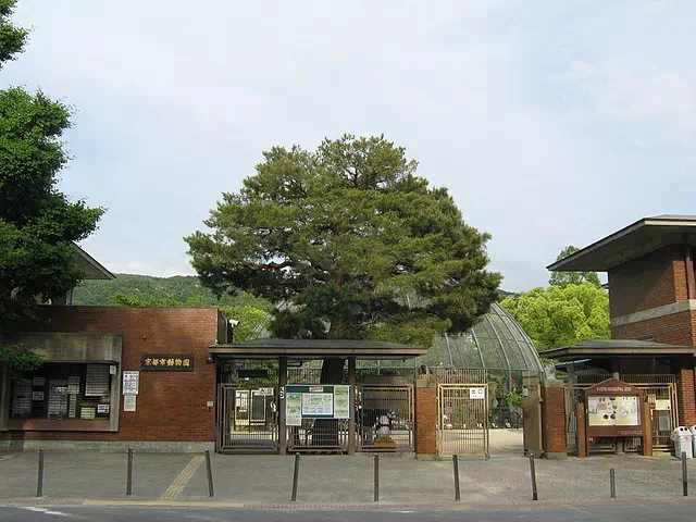 Kyotoshi Zoo