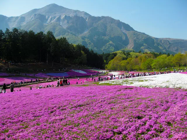 Chichibu