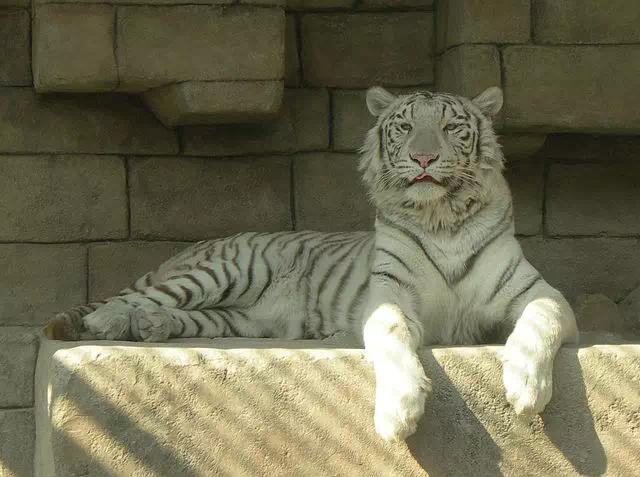 Tobu Zoo Park