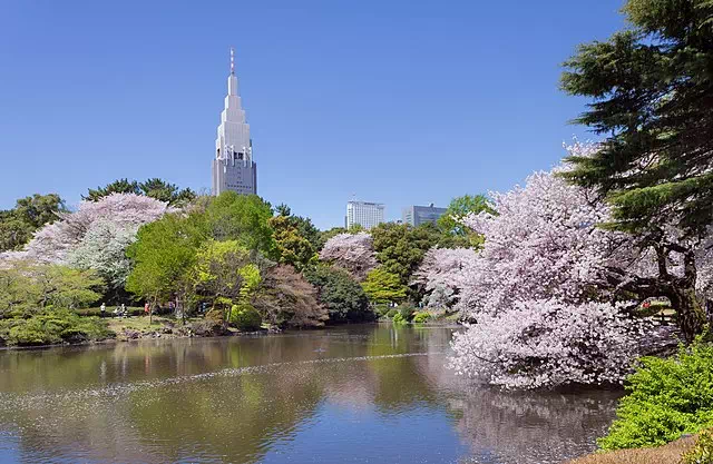 Shinjuku Gyoen National Park